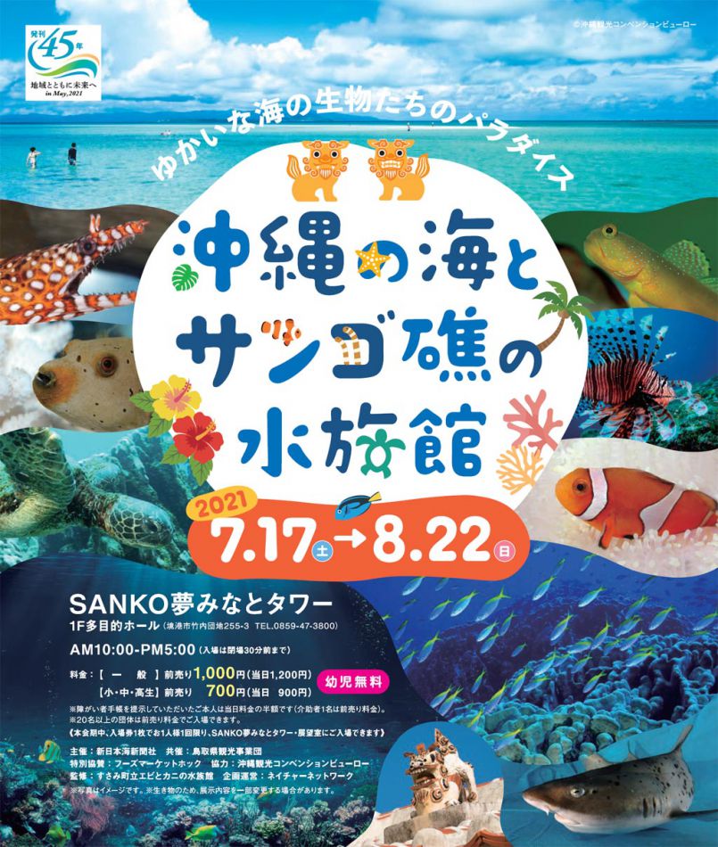 沖縄の海とサンゴ礁の水族館 イベント情報 ｓａｎｋｏ夢みなとタワー 公式ホームページ 鳥取県境港市