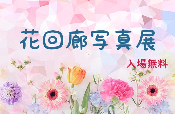 イベント 夢みなとタワー 公式ホームページ 鳥取県境港市